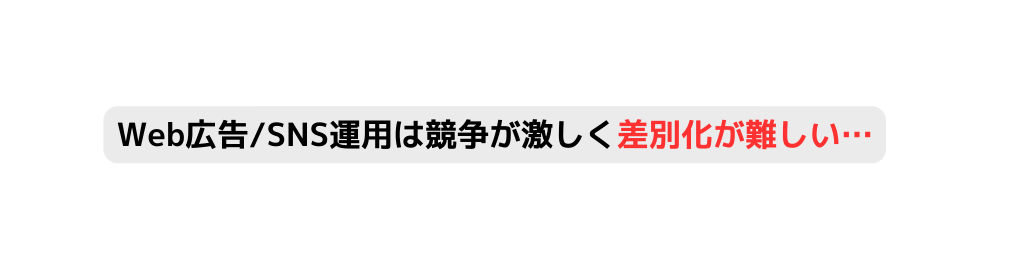 Web広告 SNS運用は競争が激しく差別化が難しい